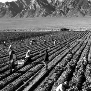 Paisaje montañoso con agricultores