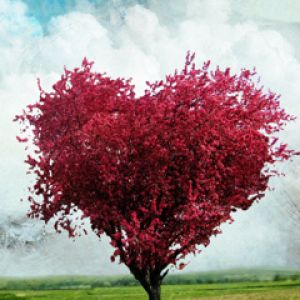 Árbol en forma de corazón