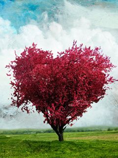 Árbol en forma de corazón