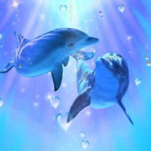 Delfines Enamorados