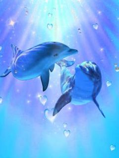 Delfines Enamorados