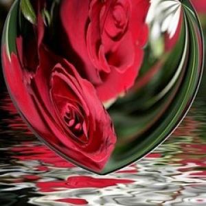 Reflejo de Corazón con Rosas