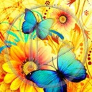 Mariposas y Flores Coloridas