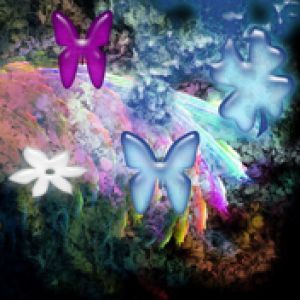 Mariposas Coloridas y Arcoíris