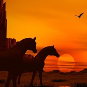 Siluetas de Caballos al Atardecer