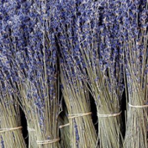 Ramos de Lavanda