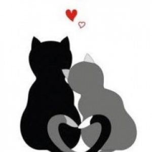 Gatos Lindos Enamorados