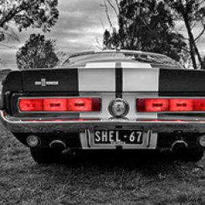 Shelby Mustang Clásico