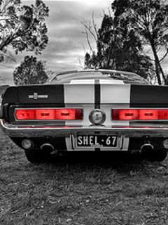 Shelby Mustang Clásico