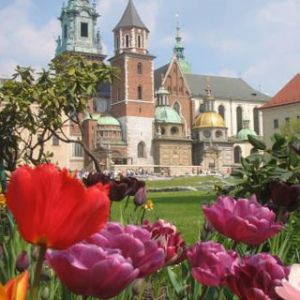 Catedral de Cracovia y Flores