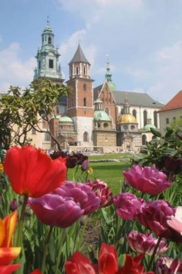 Catedral de Cracovia y Flores