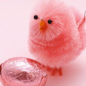 Pollito Rosa y Huevo