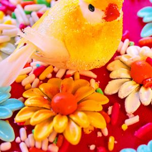 Pájaro de Caramelo Colorido
