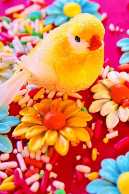 Pájaro de Caramelo Colorido