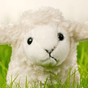 Oveja de Peluche Linda