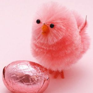 Pollito Rosa y Huevo
