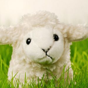 Oveja de Peluche Linda
