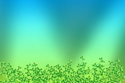 Fondo Abstracto Verde Natural
