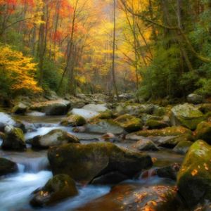 Arroyo de Otoño