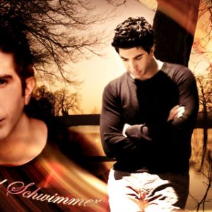 Retrato Artístico de David Schwimmer