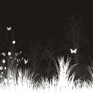 Naturaleza Elegante en Blanco y Negro