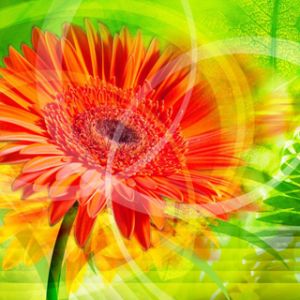 Flor Abstracta Vibrante