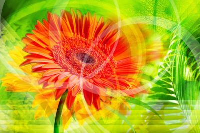 Flor Abstracta Vibrante