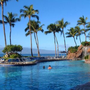 Piscina Tropical en Paraíso