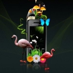 Naturaleza Tropical con Flamencos