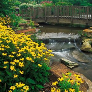 Hermoso Arroyo del Jardín