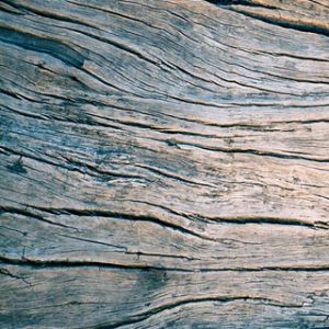 Textura de Madera
