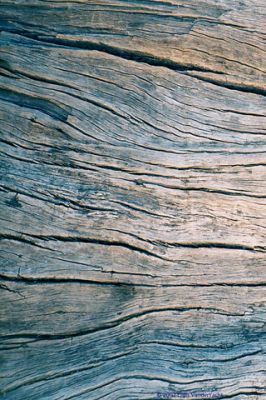Textura de Madera