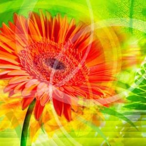 Flor Abstracta Vibrante