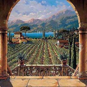 Paisaje de Viñedo Escénico