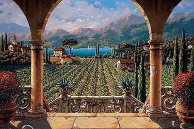 Paisaje de Viñedo Escénico