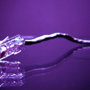 Cable Ethernet Púrpura