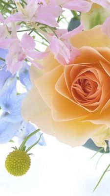 Hermosa Composición Floral
