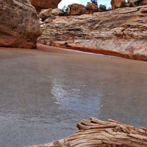 Arco Natural