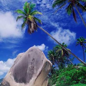 Paraíso Tropical