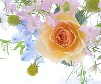 Hermosa Composición Floral