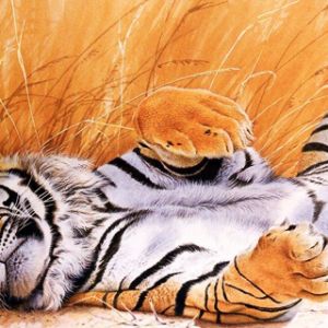 Tigre Relajado en la Hierba