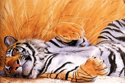 Tigre Relajado en la Hierba