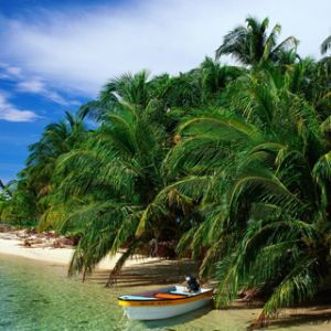Paraíso de Playa Tropical