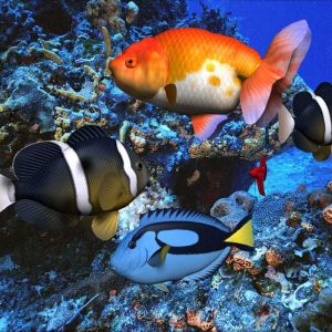 Peces tropicales coloridos bajo el agua