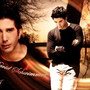 Retrato Artístico de David Schwimmer