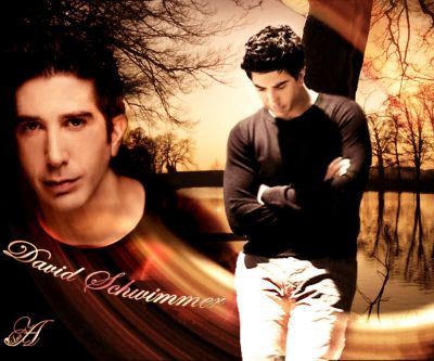 Retrato Artístico de David Schwimmer