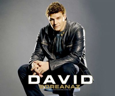 David Boreanaz en Chaqueta de Cuero