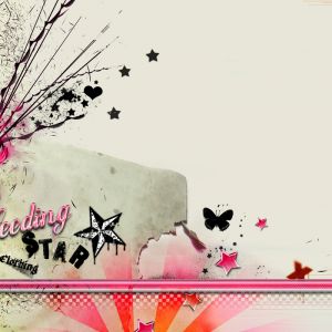 Arte Bleeding Star Clothing
