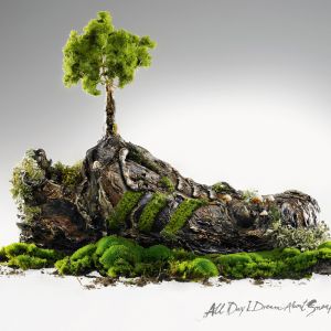 Arte de zapato inspirado en la naturaleza