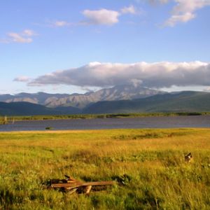 Vista Serene del Lago de Montaña